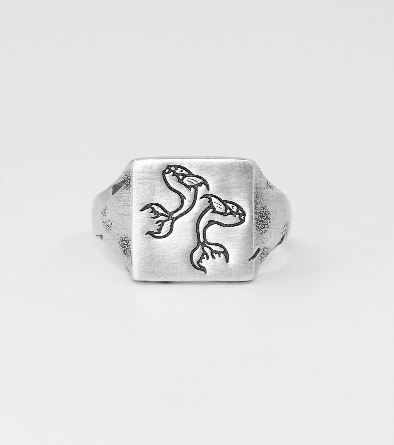 Poissons Ring